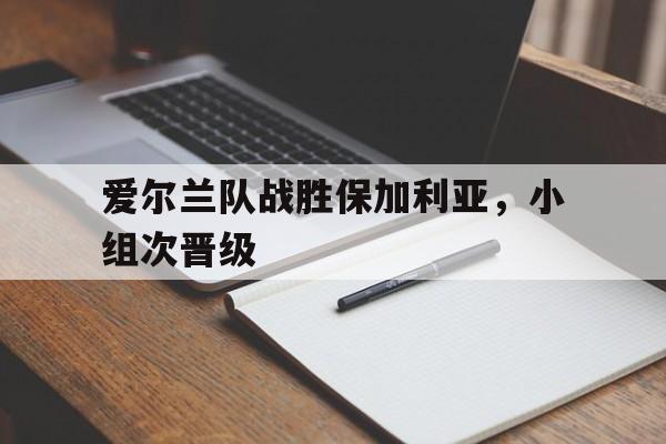 爱尔兰队战胜保加利亚，小组次晋级