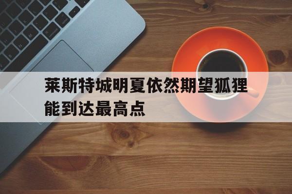 莱斯特城明夏依然期望狐狸能到达最高点